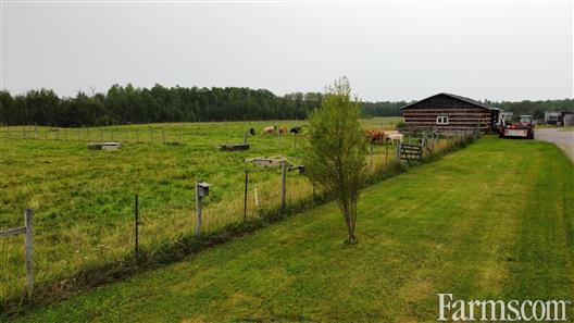 98 Acre Organic Farming Business for Sale, Kerns, Ontario
