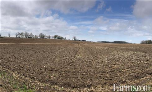 Over 194 acres of Farmland in Brant County over three parcels for Sale, Burford, Ontario