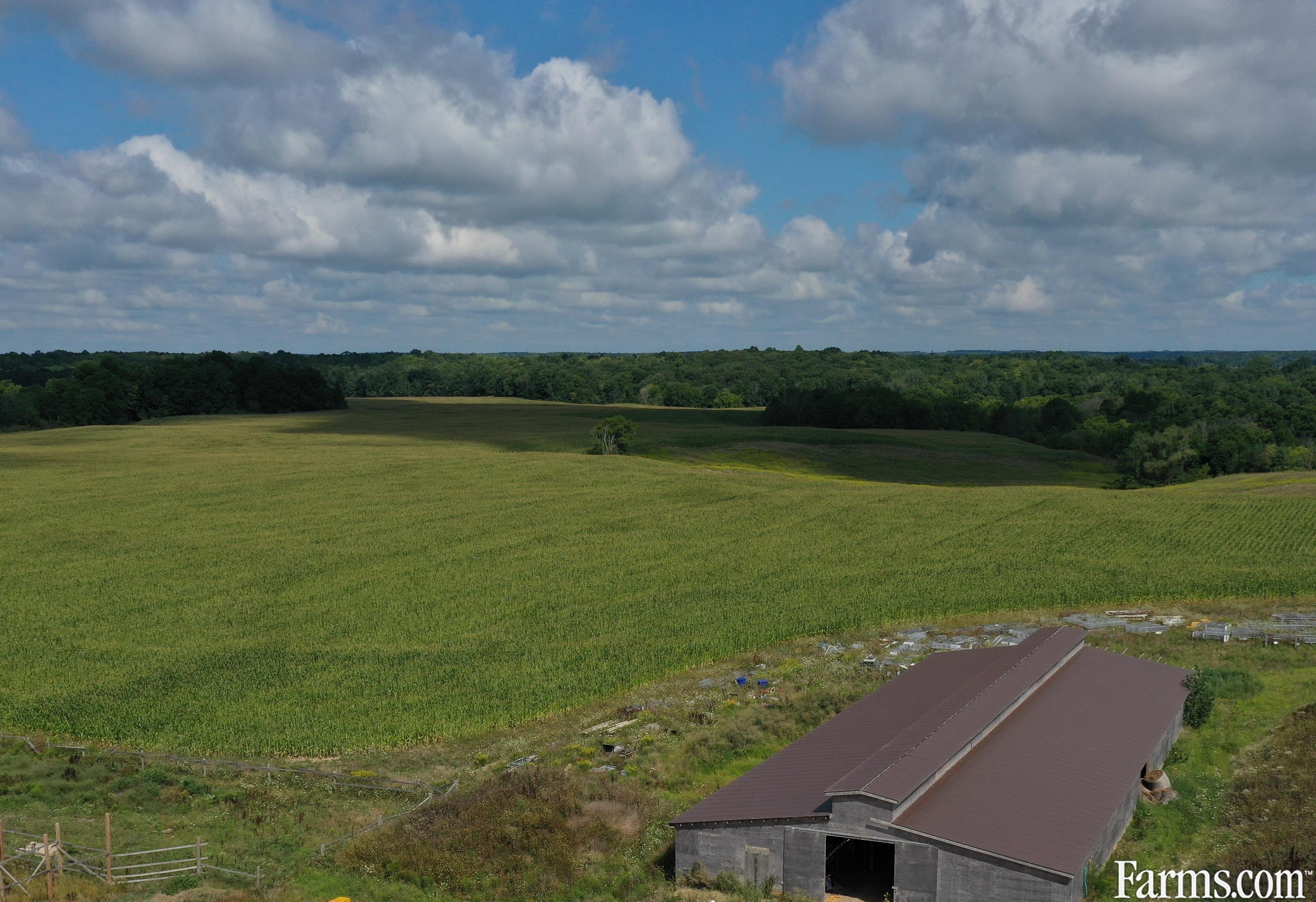 284 Acre Estate Lambton County for Sale, Alvinston, Ontario