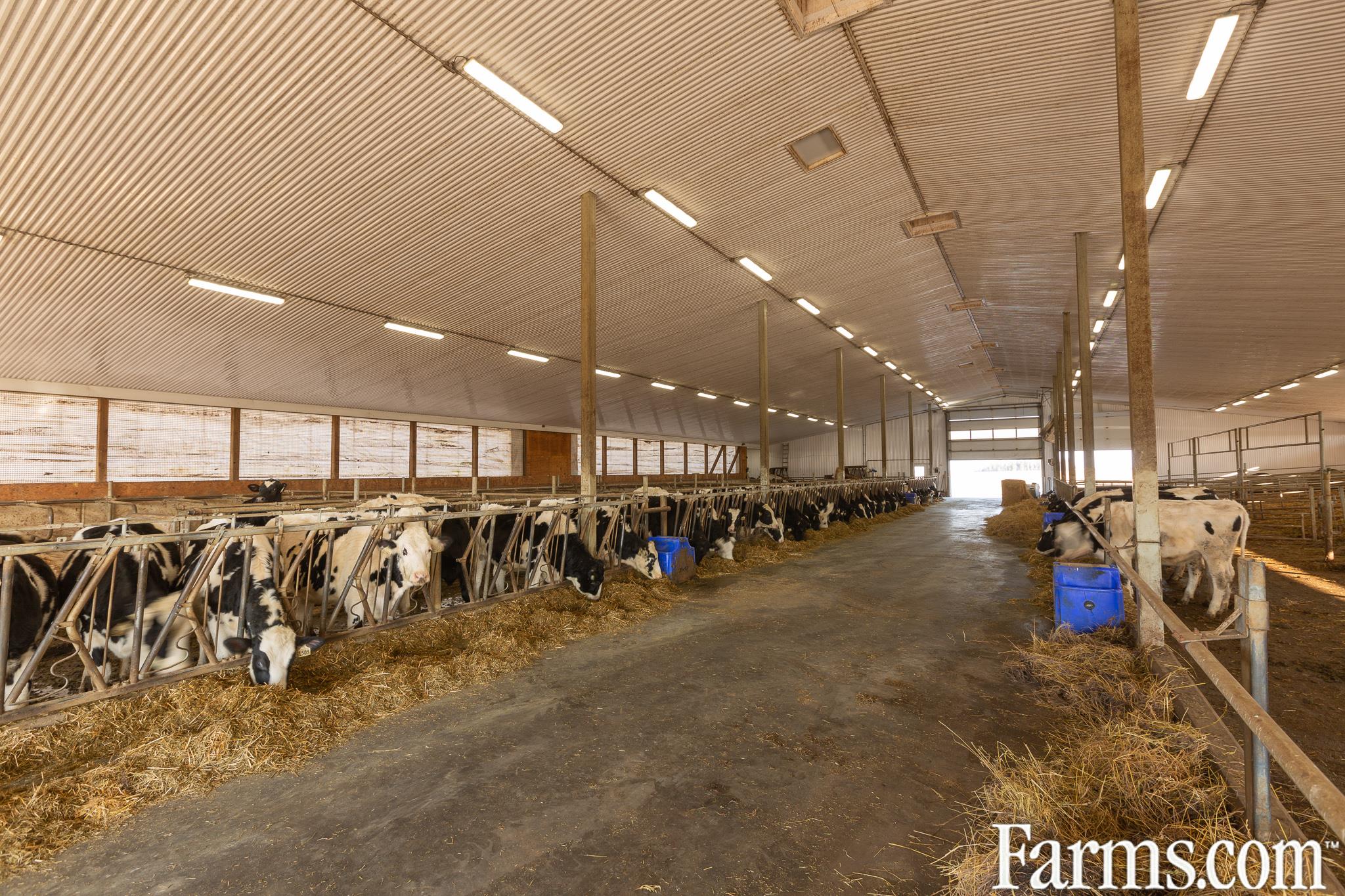 460 Acre Dairy Farm Timiskaming County for Sale, Earlton, Ontario