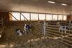 460 Acre Dairy Farm - Timiskaming County for Sale, Earlton, Ontario