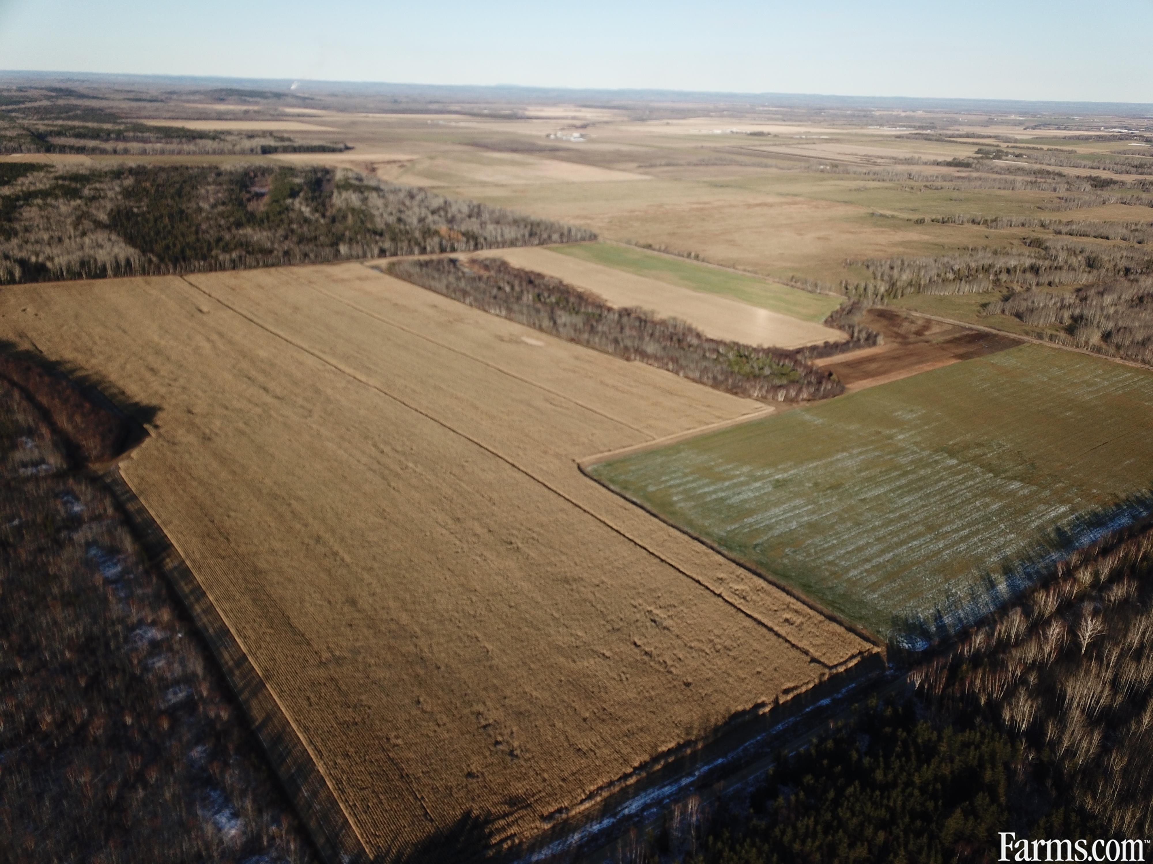 160 Acre Cash Crop for Sale, Earlton, Ontario