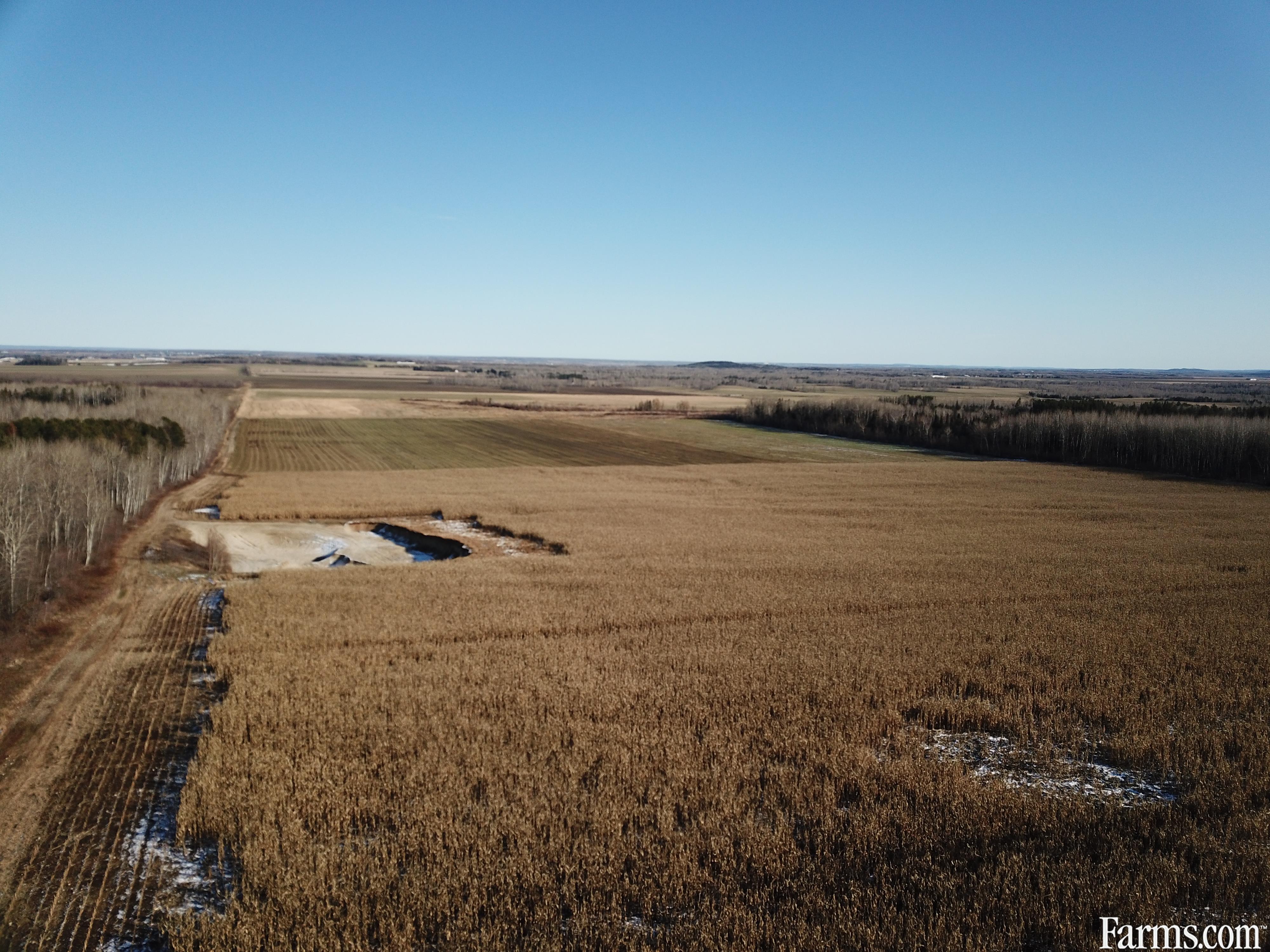 80 Acre Cash Crop for Sale, Earlton, Ontario | Farms.com