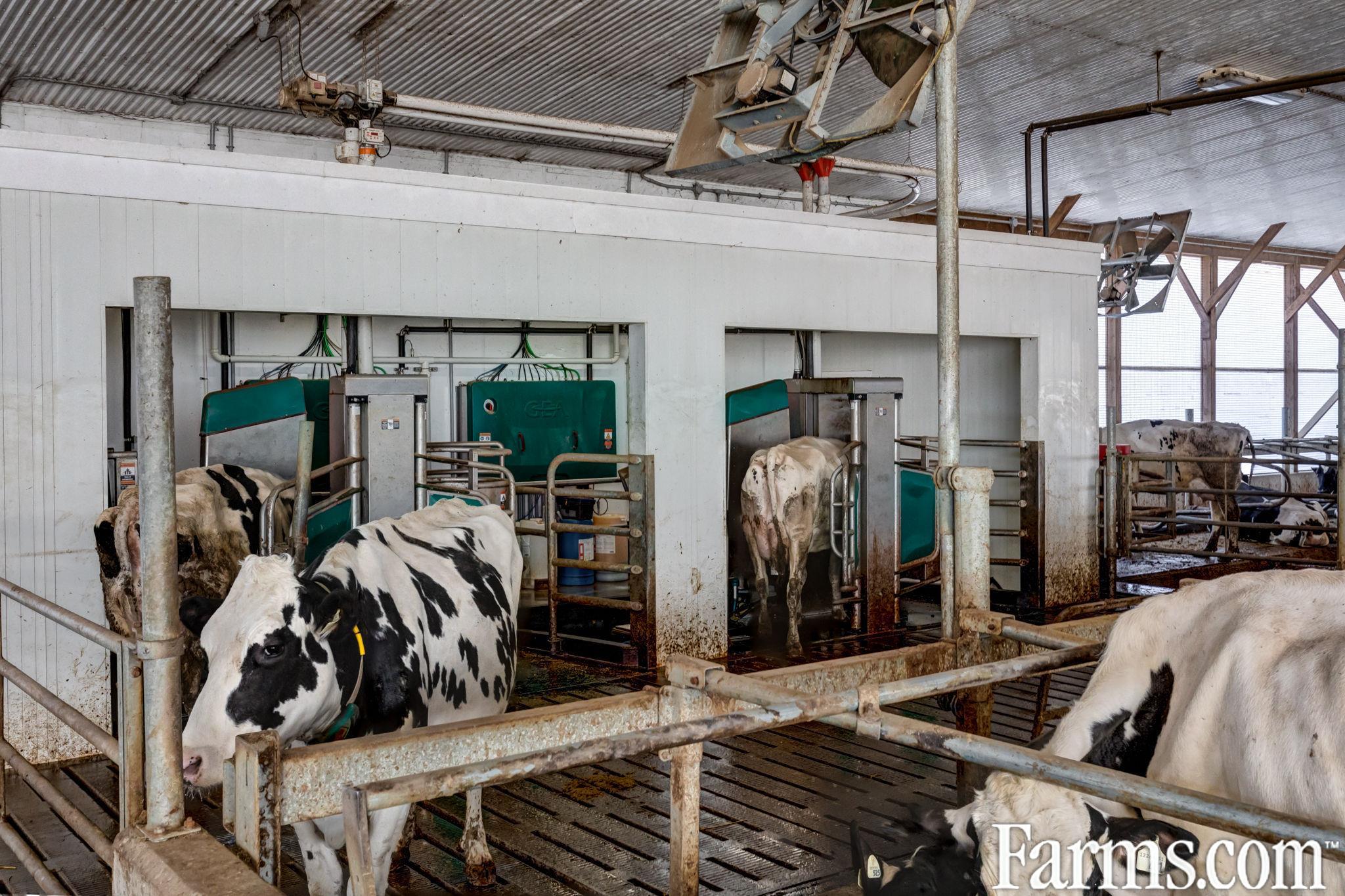 172 ACRE DAIRY FARM KEENE ONT. for Sale, KEENE, Ontario