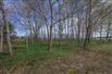 100 ACRES STONE HOME, ARENA & 80 WORKABLE! for Sale, ST MARYS, Ontario