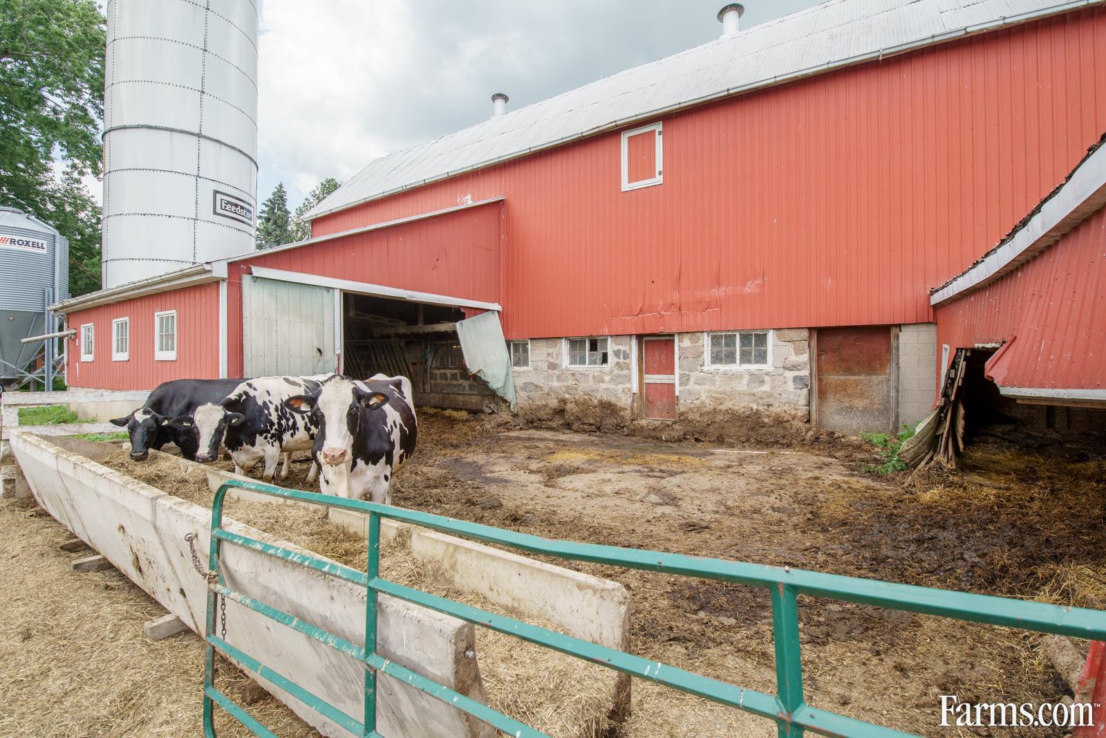 96 Acres Dairy Farm - Waterford for Sale, Waterford, Ontario | Farms.com