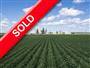 324 acres 324 Acres - Prescott-Russell for Sale