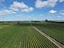324 Acres - Prescott-Russell for Sale, Alfred, Ontario