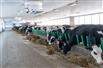150 Acres - Organic Dairy Farm for Sale, Moorefield, Ontario
