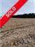 50 acres 50 Acres - Huron County for Sale