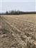 196.5 Acres - Huron County for Sale, Bluevale, Ontario