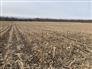 196.5 Acres - Huron County for Sale, Bluevale, Ontario