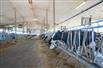 195+ KG Dairy & 107 Acres for Sale, Middlesex Centre, Ontario