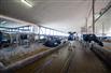 195+ KG Dairy & 107 Acres for Sale, Middlesex Centre, Ontario
