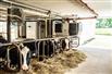 417 Acre Ongoing Dairy Farm for Sale, Ottawa, Ontario