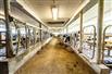 417 Acre Ongoing Dairy Farm for Sale, Ottawa, Ontario