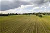 73 Acres - Norfolk County for Sale, Langton, Ontario