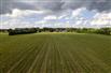 73 Acres - Norfolk County for Sale, Langton, Ontario