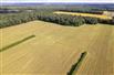 73 Acres - Norfolk County for Sale, Langton, Ontario