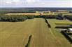 73 Acres - Norfolk County for Sale, Langton, Ontario