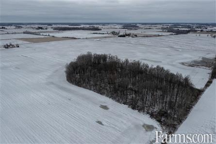 100 Acre Parcel / Elgin County for Sale, Southwold, Ontario