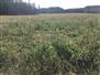 1661 Acres / Algoma County for Sale, Desbarats, Ontario