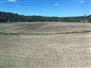 1661 Acres / Algoma County for Sale, Desbarats, Ontario