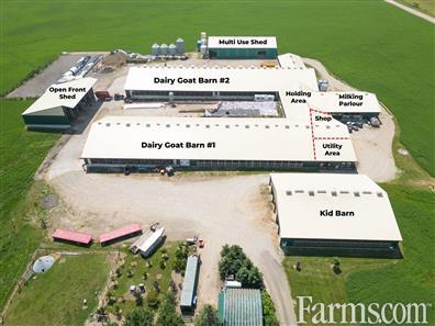 100 Acre Goat Dairy/Oxford County for Sale, Brownsville, Ontario
