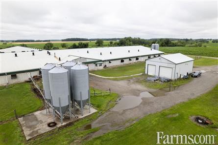 2500 Sow Operation for Sale, Florence, Ontario