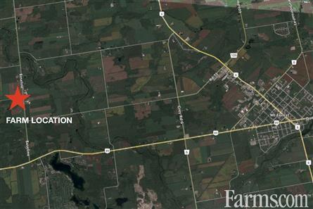 93 Acres / Wellington County for Sale, Clifford, Ontario