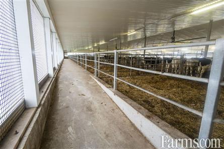 47 KG On Going Dairy / Bruce County for Sale, Paisley, Ontario