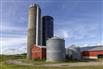 Empty Dairy / Hastings County for Sale, Tweed, Ontario