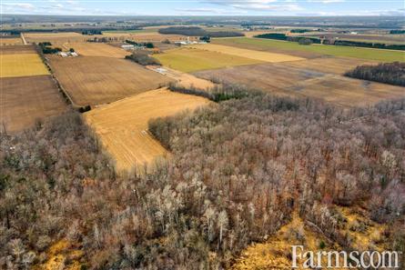 100 Acres / Wellington County for Sale, Palmerston, Ontario