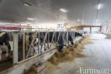 44.46KG Saleable Quota/Perth County for Sale, St Mary