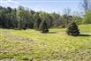 11 Acres/Elgin County for Sale, Aylmer, Ontario