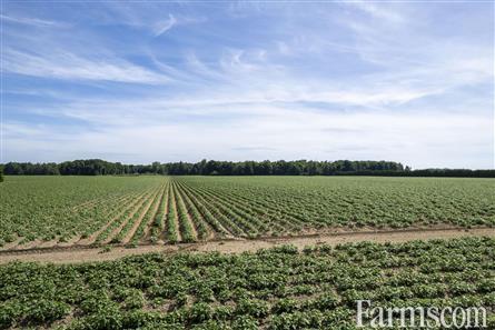 137.5 Acres/Elgin County for Sale, Aylmer, Ontario