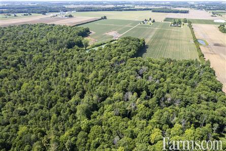 137.5 Acres/Elgin County for Sale, Aylmer, Ontario