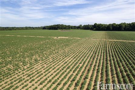 137.5 Acres/Elgin County for Sale, Aylmer, Ontario