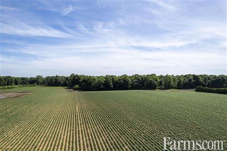 137.5 Acres/Elgin County for Sale, Aylmer, Ontario