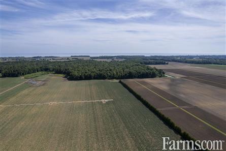 137.5 Acres/Elgin County for Sale, Aylmer, Ontario