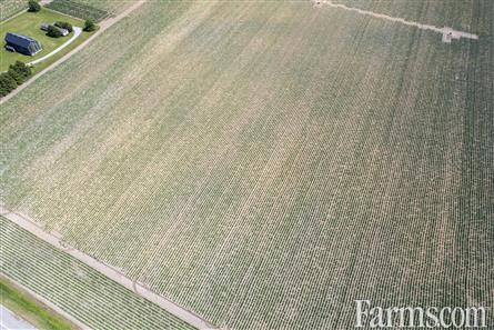 137.5 Acres/Elgin County for Sale, Aylmer, Ontario