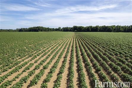 137.5 Acres/Elgin County for Sale, Aylmer, Ontario