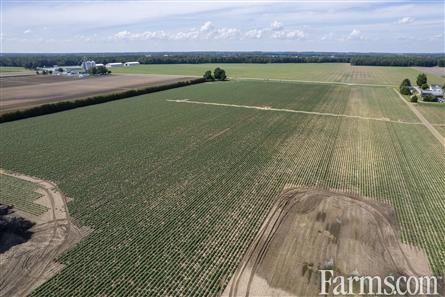 137.5 Acres/Elgin County for Sale, Aylmer, Ontario