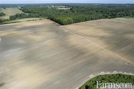 94.5 Acres/Elgin County for Sale, Malahide, Ontario