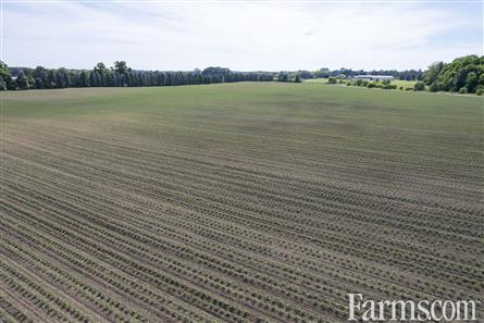 94.5 Acres/Elgin County for Sale, Malahide, Ontario