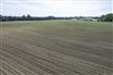 94.5 Acres/Elgin County for Sale, Malahide, Ontario