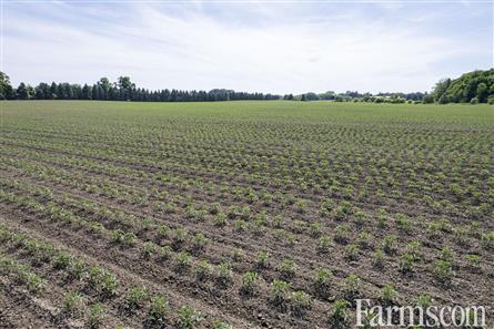 94.5 Acres/Elgin County for Sale, Malahide, Ontario