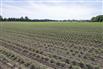 94.5 Acres/Elgin County for Sale, Malahide, Ontario