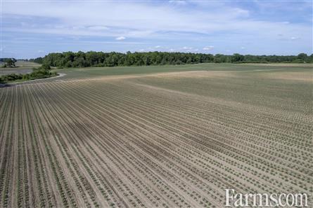 94.5 Acres/Elgin County for Sale, Malahide, Ontario