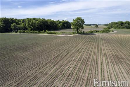 94.5 Acres/Elgin County for Sale, Malahide, Ontario